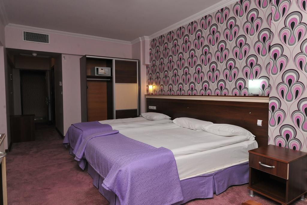 Basak Termal Hotel คิซิลจาฮามัม ห้อง รูปภาพ