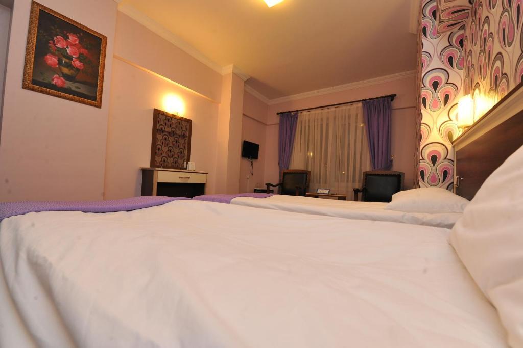 Basak Termal Hotel คิซิลจาฮามัม ห้อง รูปภาพ